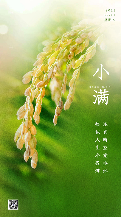 小滿(mǎn)